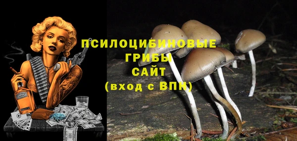 МДМА Няндома