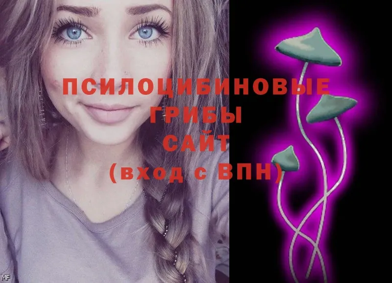 Псилоцибиновые грибы Psilocybe  Калач 